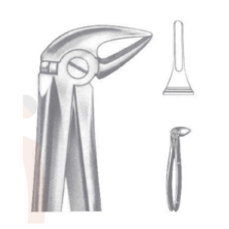 EXTRACTING FORCEPS